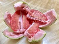 正宗麻豆红文旦 (A2) : 预购中