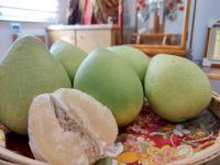 正宗麻豆文旦 (A3) :热销中